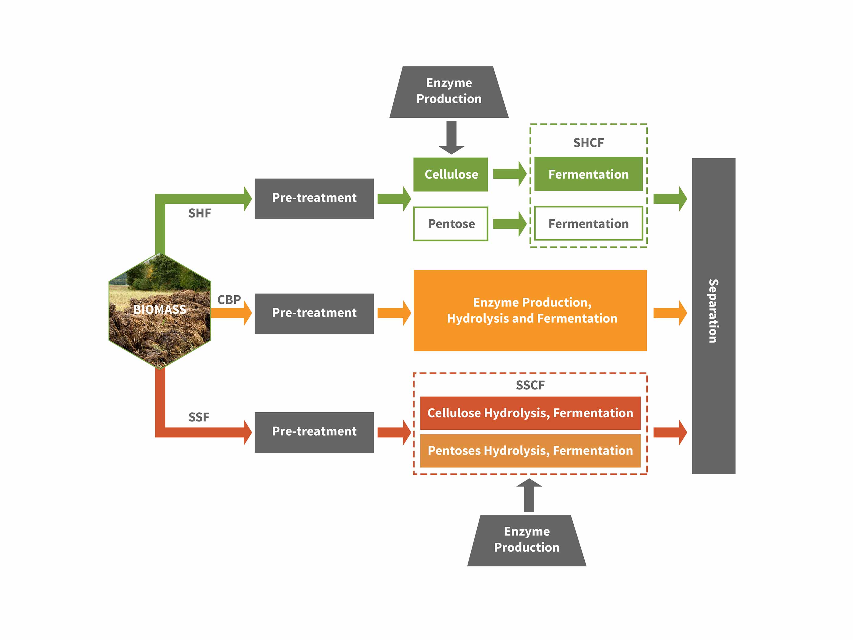 Fermentation Strategies for the Production of Second-Generation ... - ABPDU 25 01