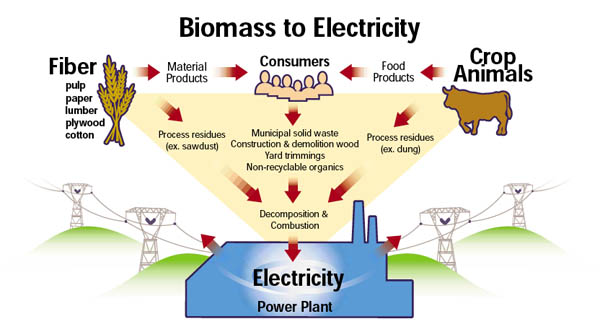 biomass energy and power