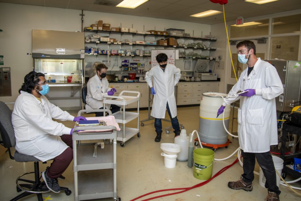 Vedant Vaidya (far left, seated), and Nathaniel Kemmerer (middle left, seated), both UC Berkeley chemical engineering students, listen to Asun Oka (center right, standing) and Jan-Philip Prahl (far right, standing), both with ABPDU, as part of UC Berkeley's "Advanced Bioprocess Engineering Laboratory" class which introduces advanced concepts of bioprocessing to chemical engineering students, at the ABPDU, Lawrence Berkeley National Laboratory. The students get hands-on experience at Berkeley Lab's Advanced Biofuels and Bioproducts Process Development Unit in Emeryville, California, 04/01/2021.